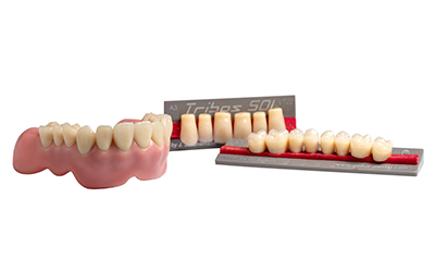 Tribos 501 Zähne in Wachs-Einprobe